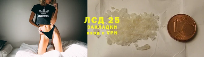 хмурый Липки