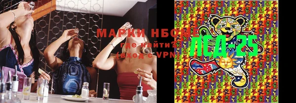 хмурый Липки