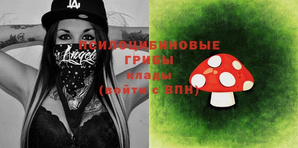хмурый Липки