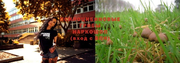 хмурый Липки