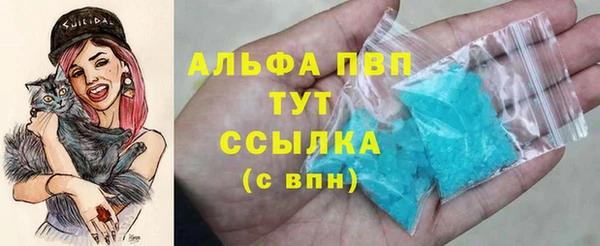 хмурый Липки