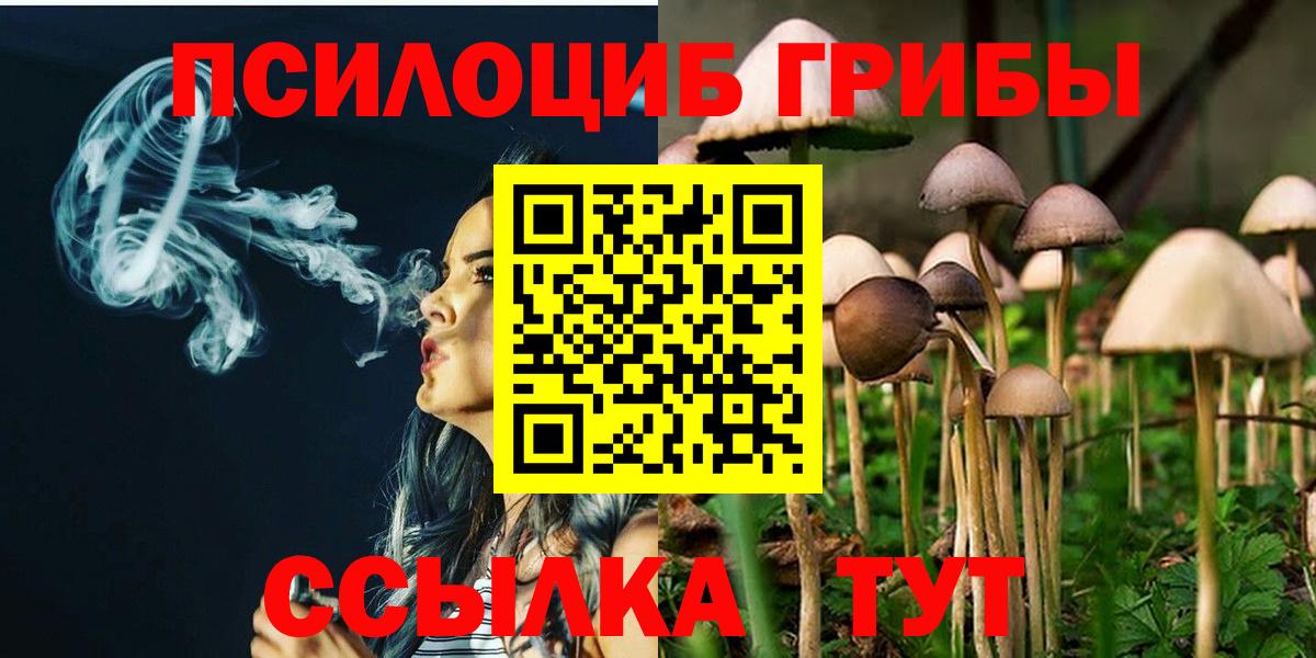 Псилоцибиновые грибы MAGIC MUSHROOMS  Галлюциногенные грибы Psilocybe  Северск  Вход с VPN 